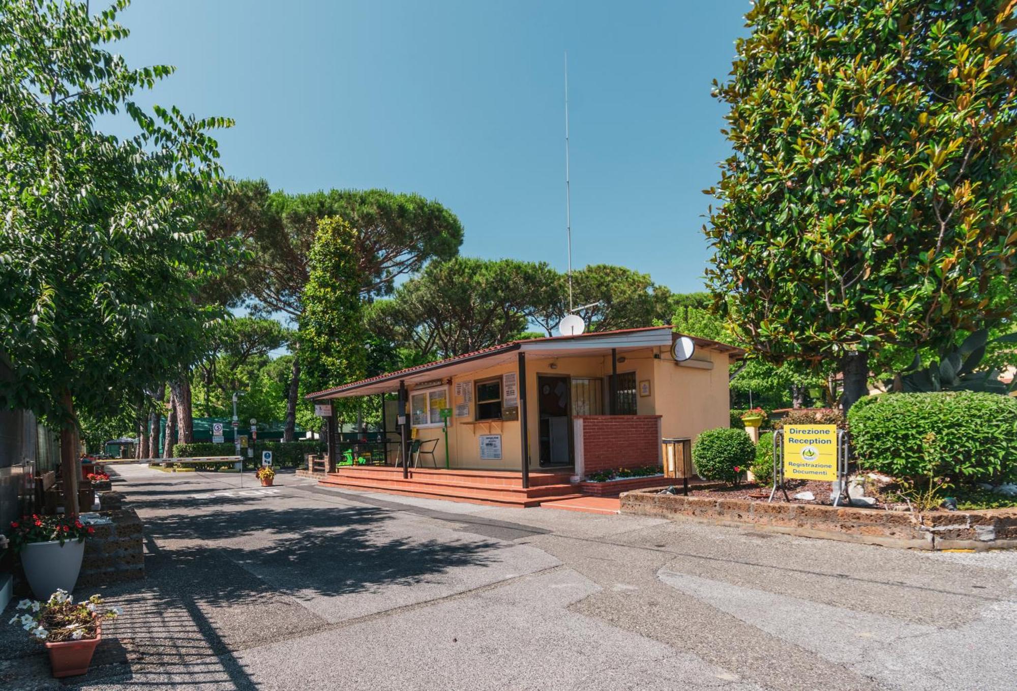 Camping Apuano Marina di Massa Exteriér fotografie